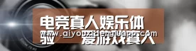 公司动态